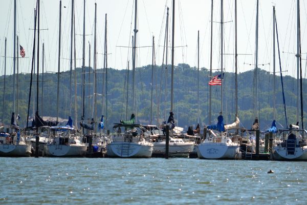 At the port, boats are docked